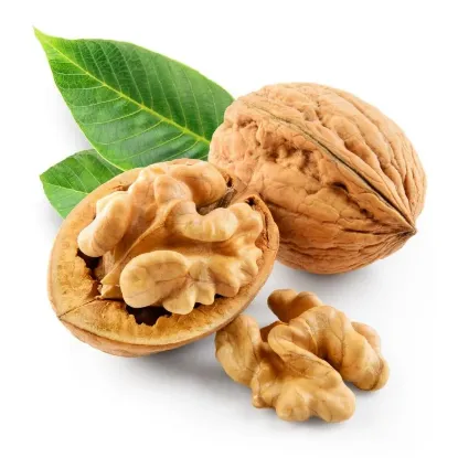 Picture of Broken Walnut / Walnut Kernels - 1Kg