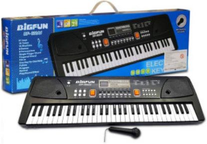 Picture of 49 Key Piano Toy