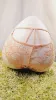 Picture of New Arrivals Back String Net/ Lacy Design Panties For Women-Multiple Colors